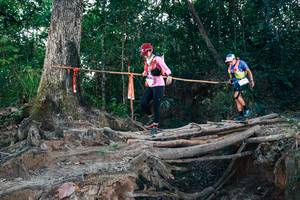 BIB: 
                            <button type="button" onclick="openModal(27313136)" class="btn btn-primary btn-sm float-right btn-popup" data-toggle="modal" data-target=".modal-high-quality">
                        <i class="fas fa-shopping-cart"></i> Add to Cart
                    </button>
                                            <button type="button" onclick="isThisMe(27313136, true)" class="btn btn-success btn-sm float-right btn-popup btn-isme hidden" data-toggle="tooltip" data-placement="bottom" title="นี่คือรูปของคุณใช่ไหม คลิกที่นี่เพื่อเอาเข้าอัลบั้ม">
                        <i class="fas fa-plus"></i> Add to album
                    </button>
                    <button type="button" onclick="isThisMe(27313136, false)" class="btn btn-warning btn-sm float-right btn-popup btn-isnotme hidden">
                        <i class="fas fa-ban"></i> Remove from album
                    </button>